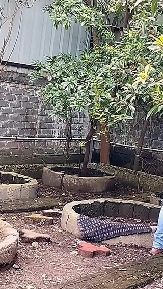 गार्डन गर्लफ्रेंड के साथ बॉयफ्रेंड ब्लोजॉब और बिना कंडोम के चुदाई